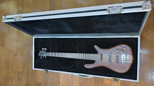 Warwick Bass Electric Cases ワーウィック フライトケース ベース用