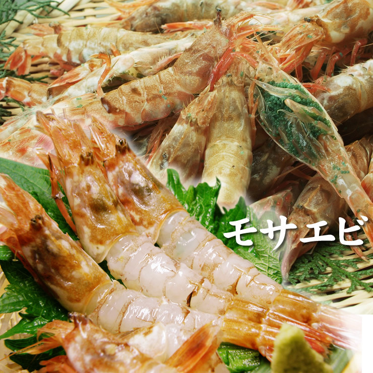 刺身用 山陰沖産 モサエビ 猛者えび クロザコエビ 中サイズ 3ｋｇ程度入り トロ箱冷凍 年5月水揚げ もさえび海老 エビ 売買されたオークション情報 Yahooの商品情報をアーカイブ公開 オークファン Aucfan Com