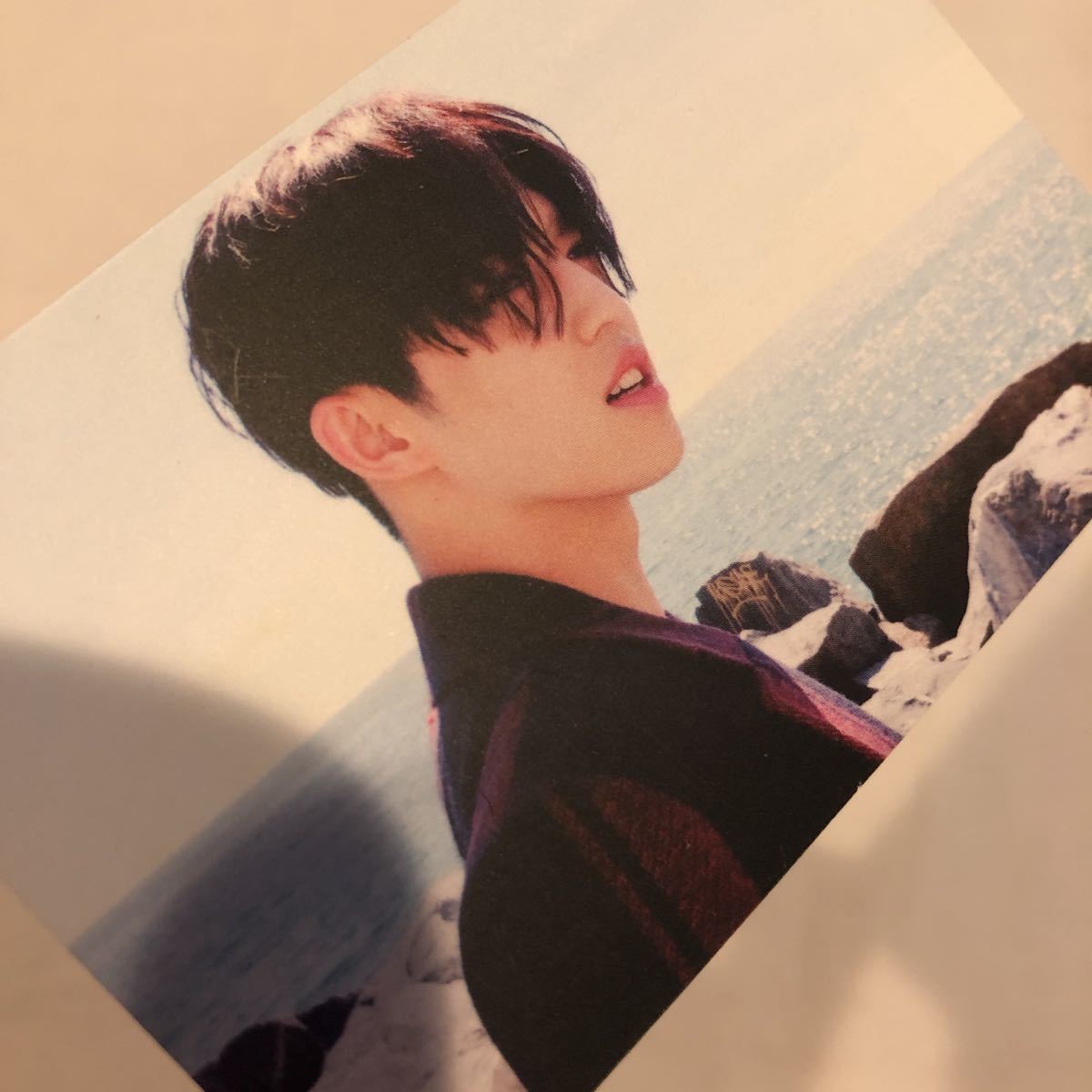 SEVENTEEN セブチ トレカ SVT TEEN AGE WE MAKE YOU Ode to You