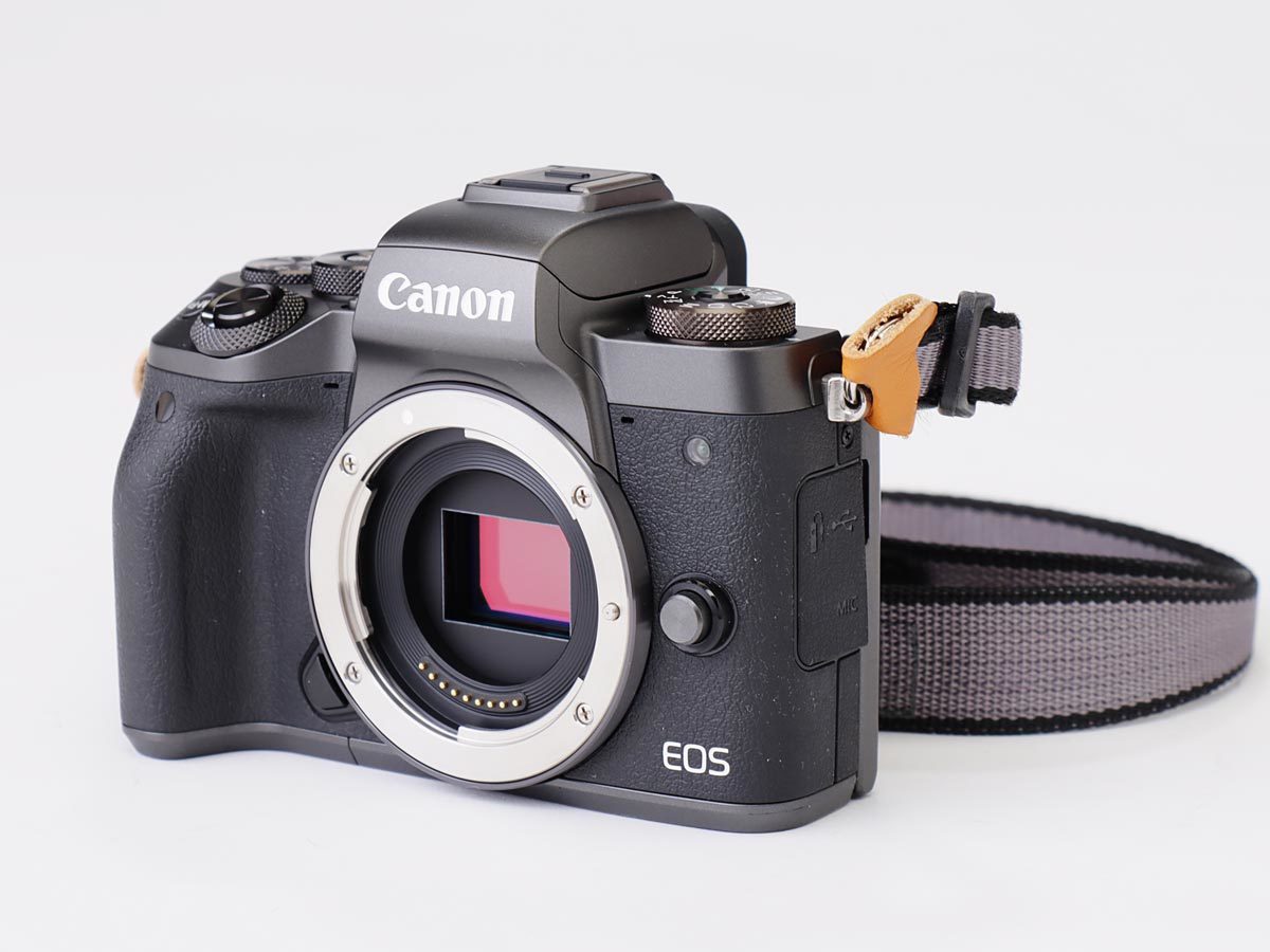 Canon EOS M5 ミラーレス一眼 ダブルレンズセット Canon EOS M5