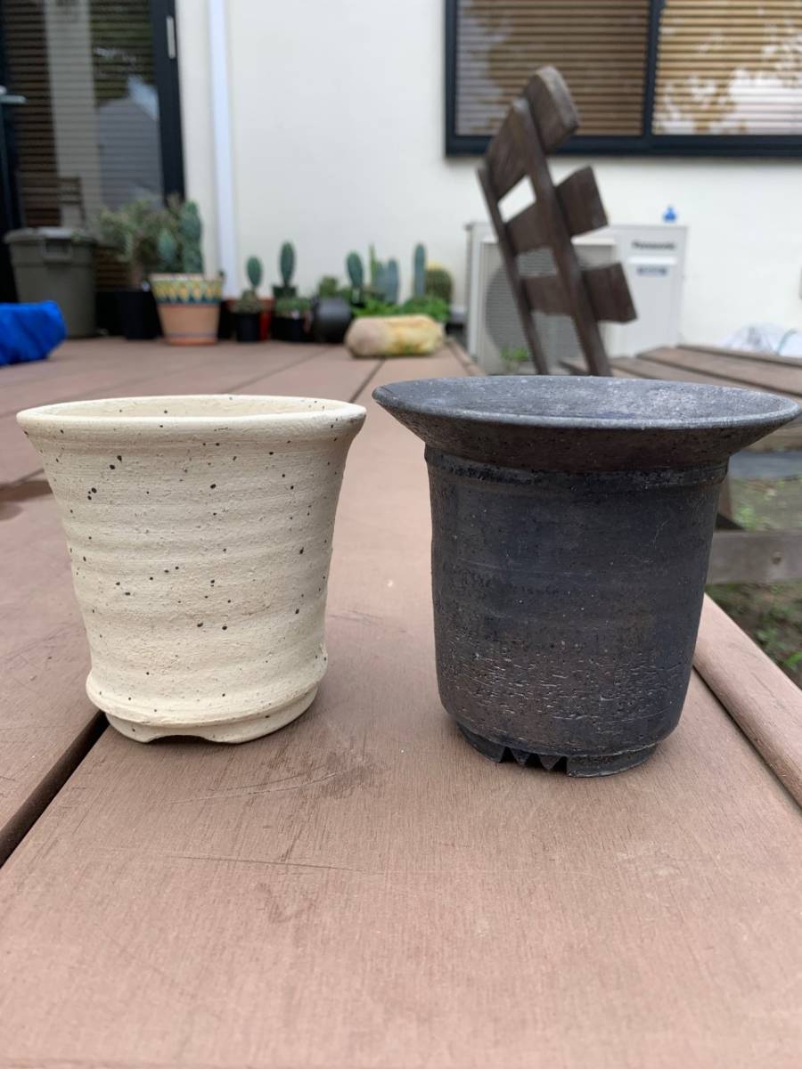 正規品，最新作】 ◇1円スタート◇ invisible ink basic pot 鶴仙園