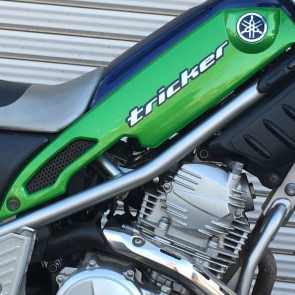 トリッカー ヤマハ DG16J 送料込みヤマハ 純正 5XT パール 左右 サイド