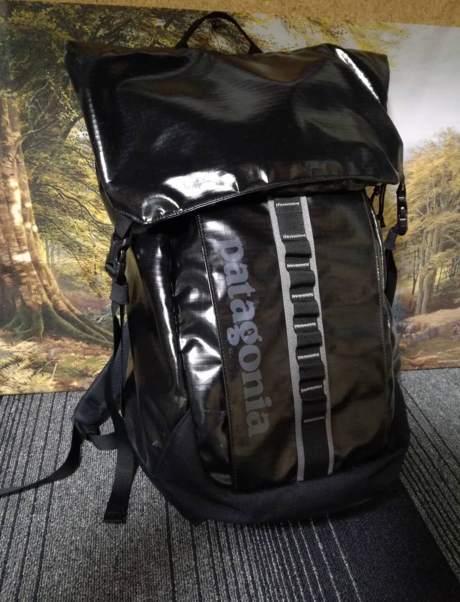 25l リュック パタゴニア ブラックホール リュック patagonia