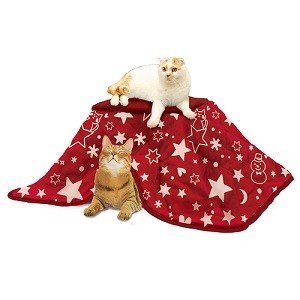 キャティーマン (CattyMan) 遠赤外線ペットの夢こたつ 【公式通販】