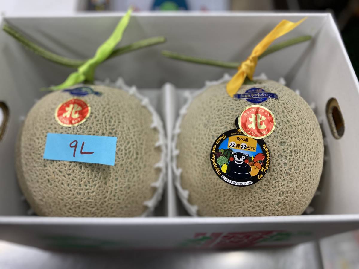 訳あり】高知県産マスクメロン 6玉 10kg 食べごろ始め | QUASAR.UNINA.IT