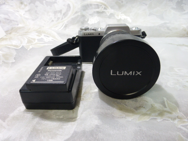 7K004EC Panasonic LUMIX DMC-GF7 レンズセット G VARIO 7-14mm F4.0