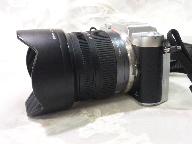 7K004EC Panasonic LUMIX DMC-GF7 レンズセット G VARIO 7-14mm F4.0