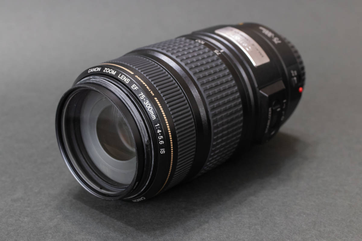 Canon Lens 75-300mm EF III f⁄4-5.6 - Zoom USM F4-5.6 Telephoto : for