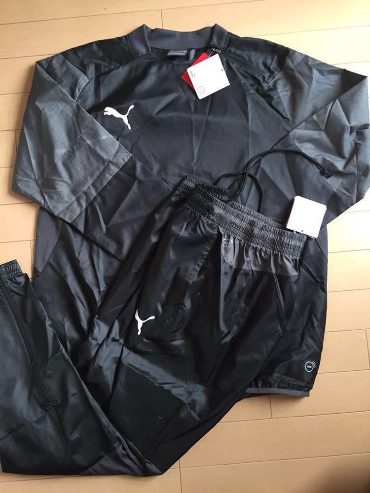 新品，安い プーマ LIGA ピステトップ&パンツ Lサイズ ピステ上下 14300円 655732 03 PUMA 上下セット(ウインドブレーカー)｜売買されたオークション情報、yahooの商品情報をアーカイブ公開 - オークファン ウインドブレーカー