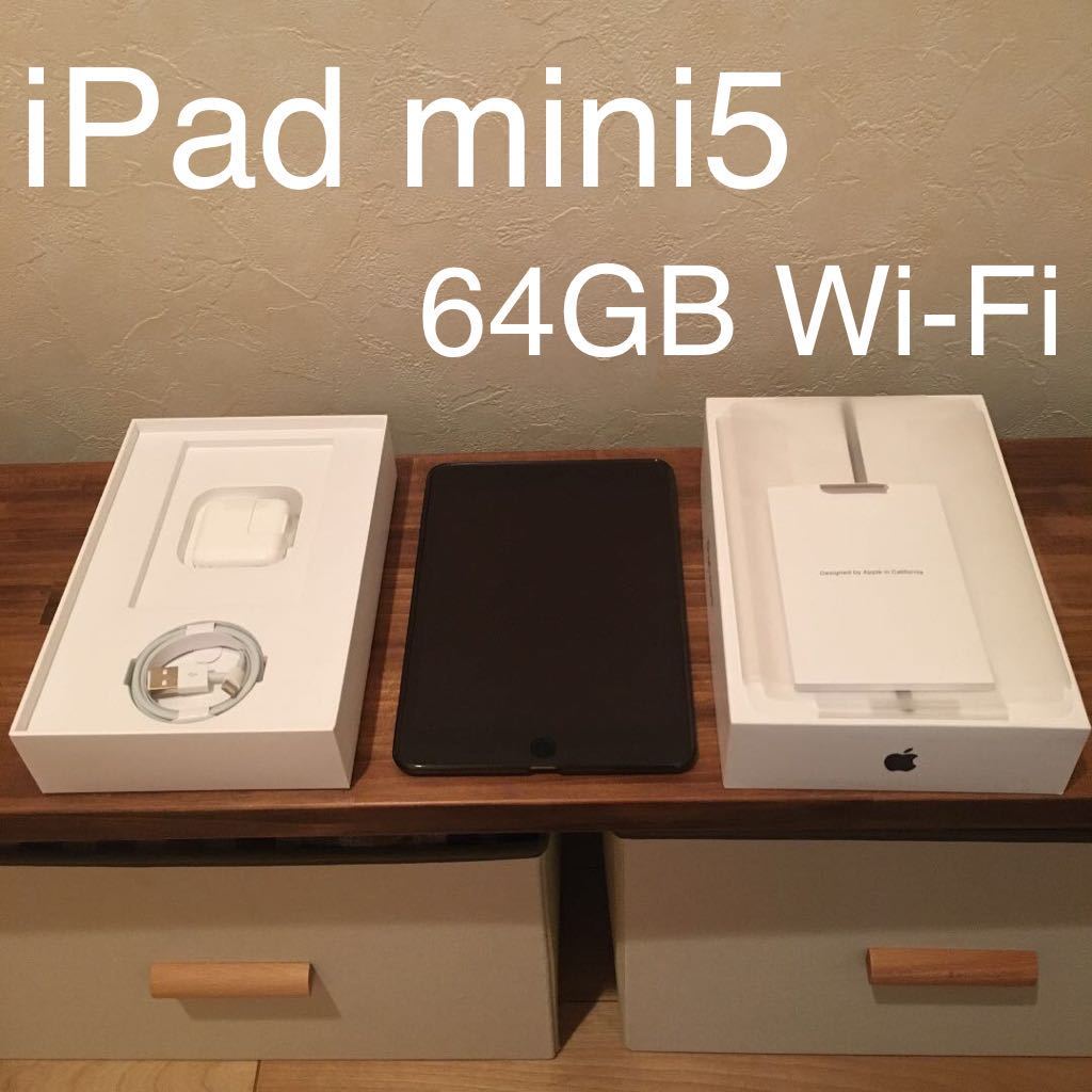 iPad mini5 64GB Wi-Fi スペースグレイ アンチグレア ガラスフィルム付