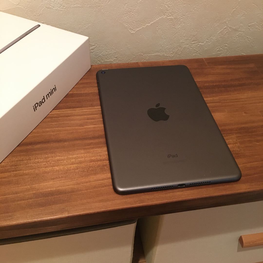 店舗や値段 iPad mini5 64GB Wi-Fi スペースグレイ アンチグレア