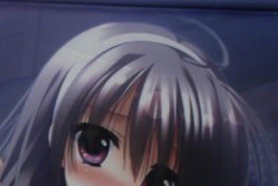 ソレヨリノ前奏詩 ⁄ トリノライン 豪華版 セット ソレヨリノ前奏詩 
