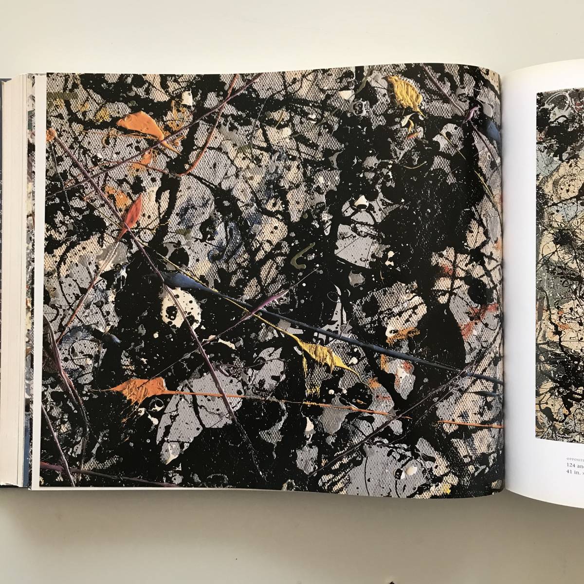 ジャクソン・ポロック Pollock Jackson | 洋書 生誕100年 ジャクソン