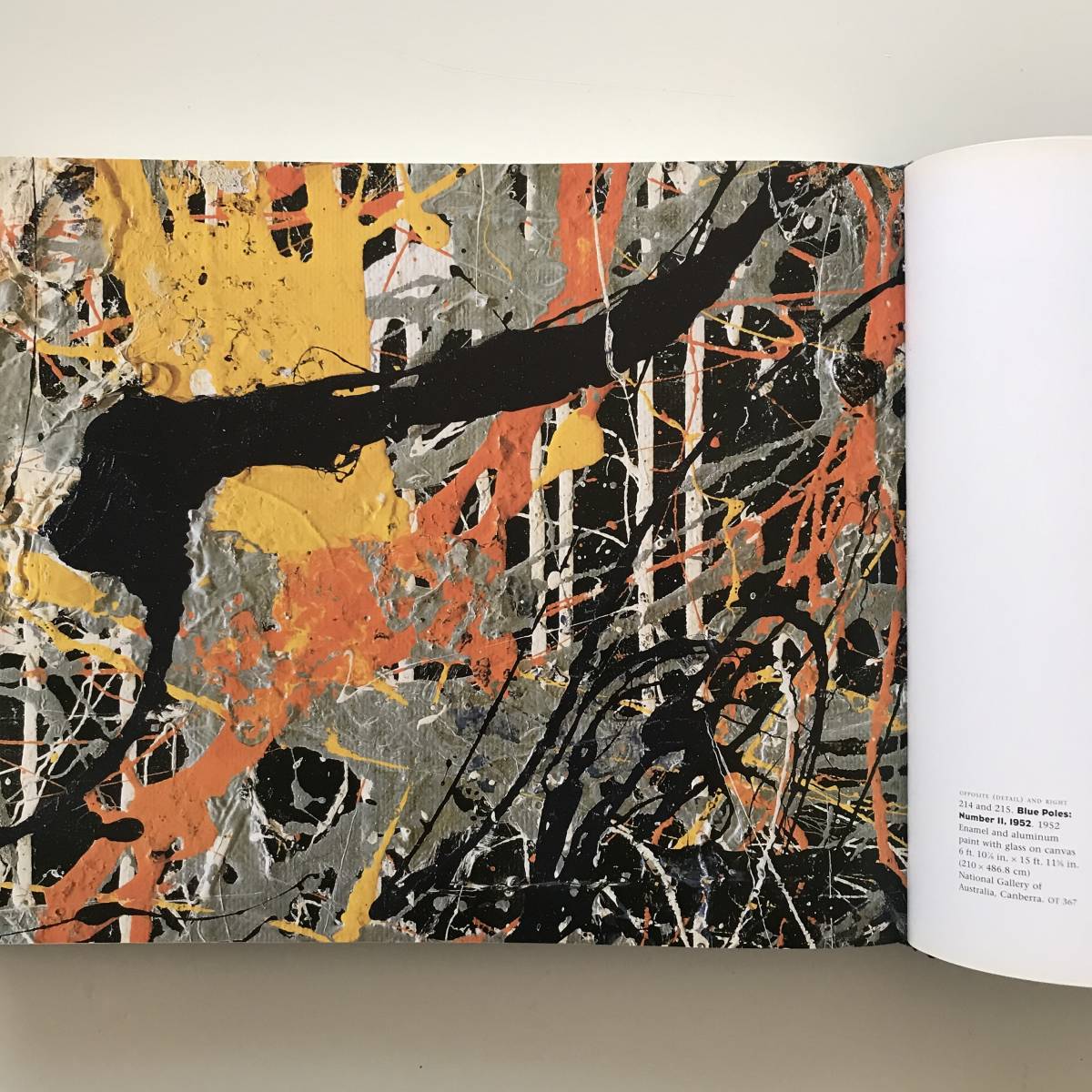 ジャクソン・ポロック Pollock Jackson | 洋書 生誕100年 ジャクソン