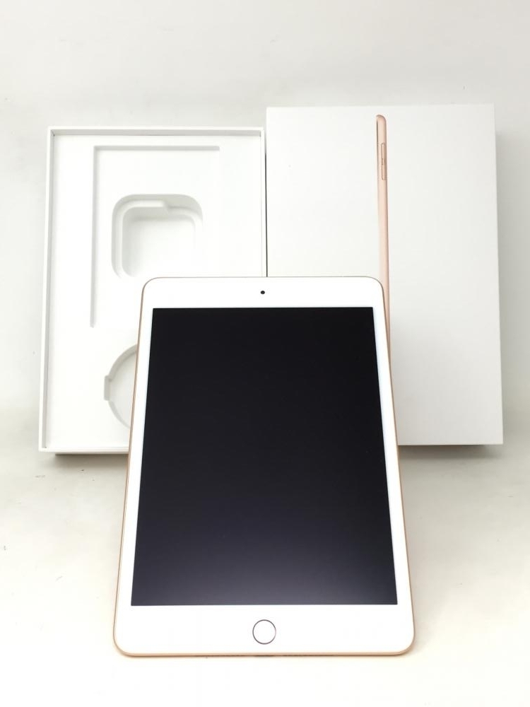 2304【美品】 iPad mini 第5世代 64GB au版SIMロック解除 SIMフリー
