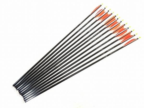 人気セール，100%新品 ジャンク EASTON X-7 2114 シャフト 12本 アーチェリー スポーツ 矢 競技用 イーストン O5306000(アーチェリー)｜売買されたオークション情報、yahooの商品情報をアーカイブ公開 - オークファン アーチェリー