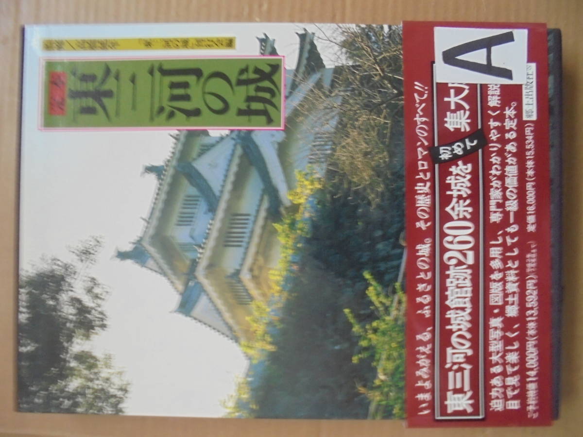 本 定本 東三河の城