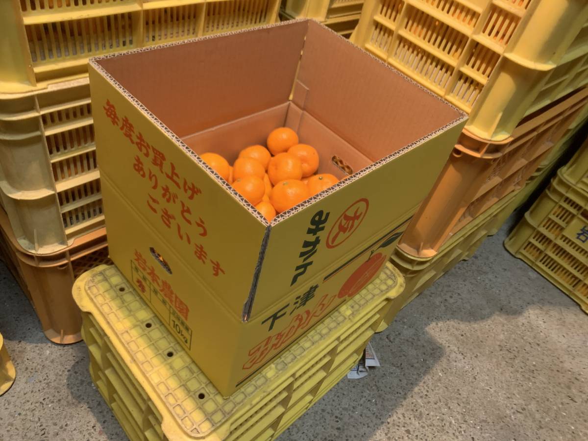 送料無料 和歌山「しもつみかん」 赤秀 SS～2L混合 １0ｋｇ