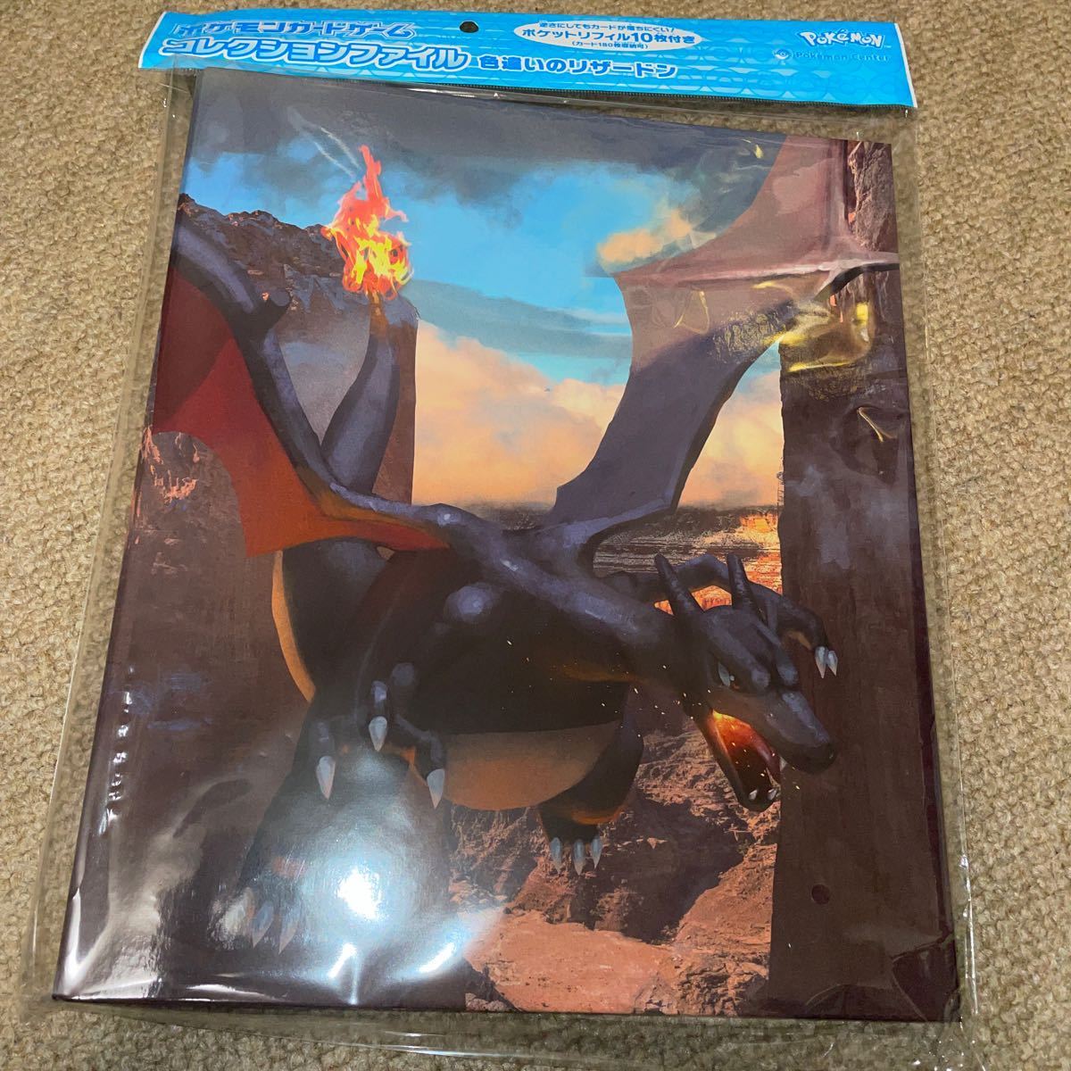 色違い リザードン ポケモンカードゲーム コレクションファイル