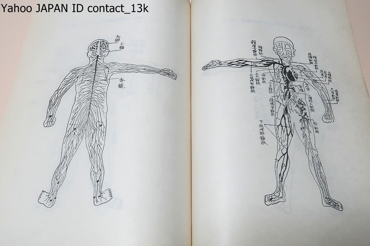 趣味、スポーツ、実用 拳法極意・当身殺活法明解/藤田西湖/昭和33年/