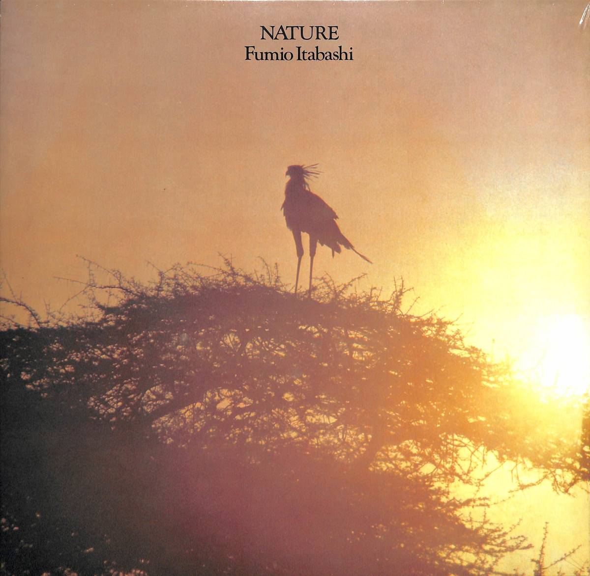 数量限定，低価 ラスト1 1979年作 Nature が初アナログ リイシュー FUMIO ITABASHI LP 12インチ 1000枚限定 直輸入盤 板橋文夫 ネイチャー(ジャズ一般)｜売買されたオークション情報、yahooの商品情報をアーカイブ公開 ジャズ一般