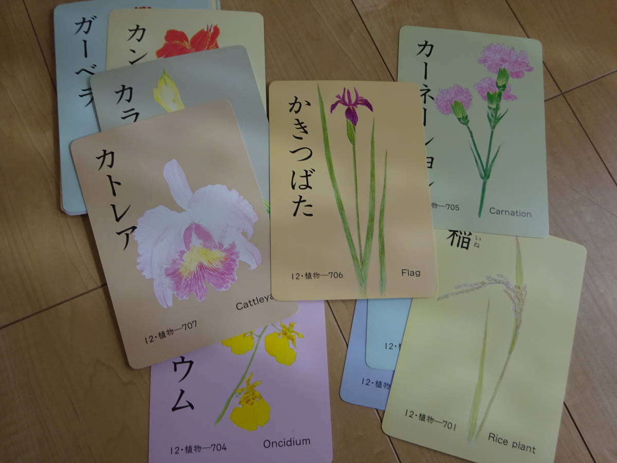 家庭保育園 第二教室 たのしい絵カード1500 言葉の認識や知識を増やす