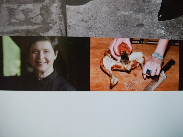 ヘルムート ニュートンと12人の女たち チラシ ｂ５サイズ ドキュメンタリー映画 シャーロット ランプリング イザベラ ロッセリーニ ドキュメンタリー 売買されたオークション情報 Yahooの商品情報をアーカイブ公開 オークファン Aucfan Com