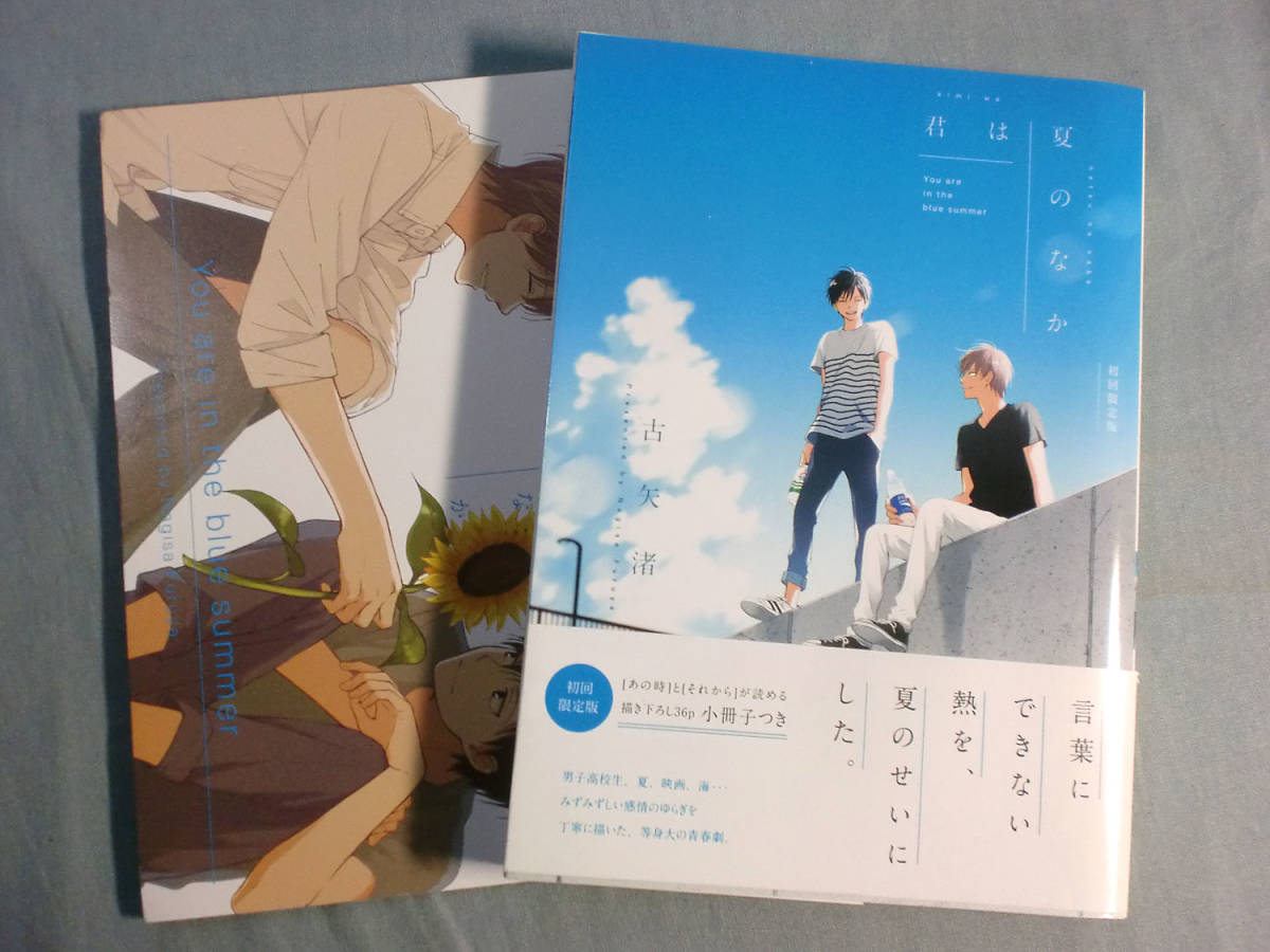 B Blコミック 古矢渚 君は夏のなか 初回限定版 小冊子付き 1 0607 ボーイズラブ 売買されたオークション情報 Yahooの商品情報をアーカイブ公開 オークファン Aucfan Com