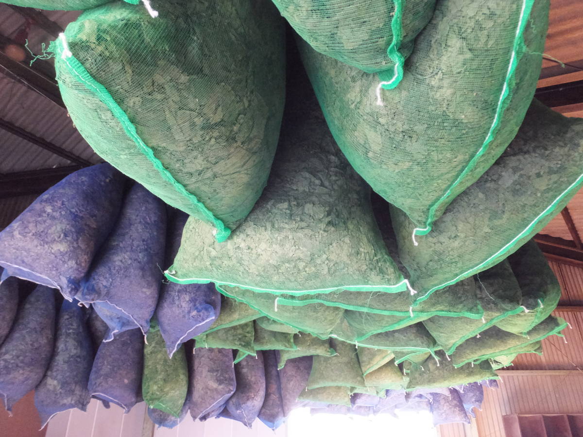 送料無料　有機栽培　杜仲茶　5g×30袋　有機JASオーガニック認証取得　生産農家です_5