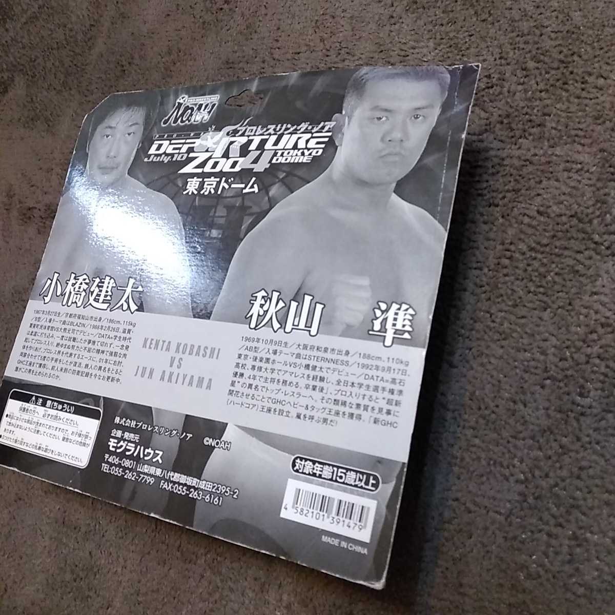 DVD NOAH プロレスリング ノア 2004年 ☆全国送料無料☆レア 当時物 プロレス ノア NOAH 2004 7.10 東京