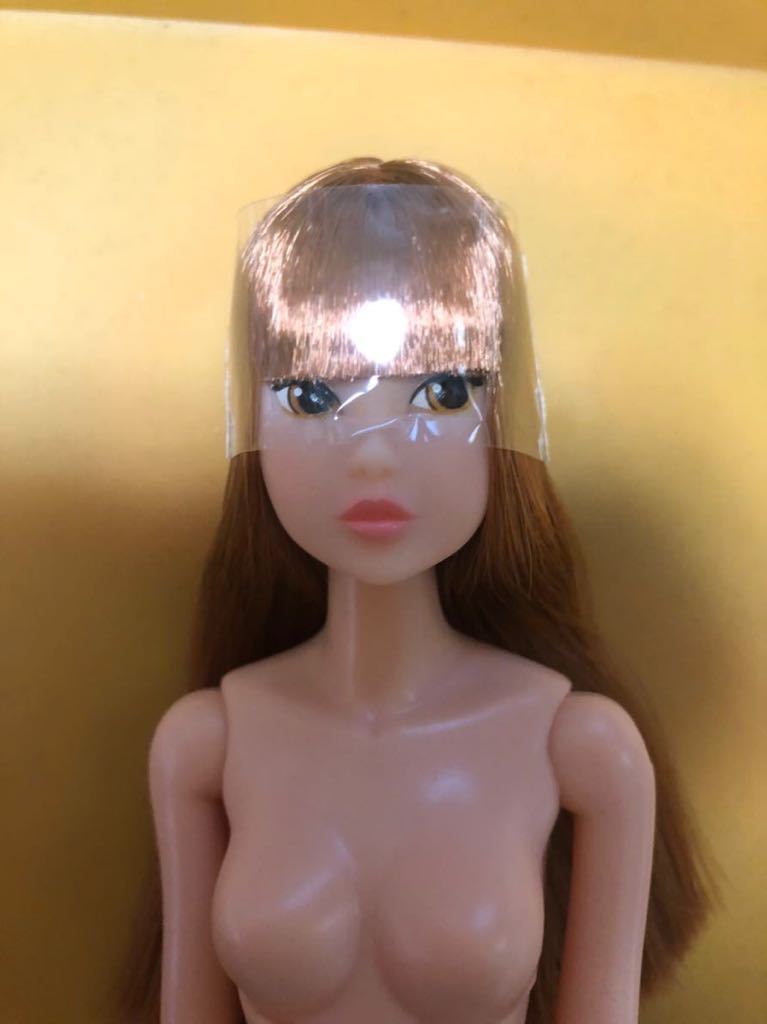 momoko doll 本体のみ CCS ② ペットワークス カスタムにも momoko CCS