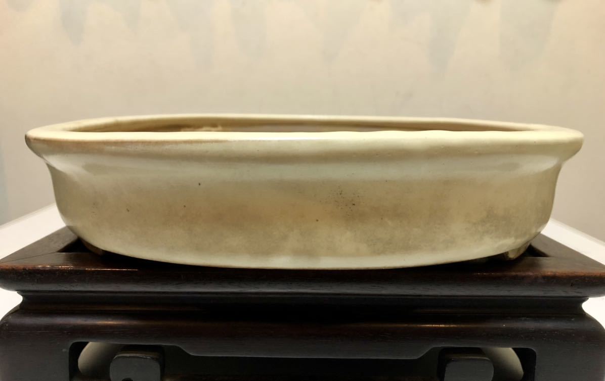 2026年最新Yahoo!オークション -盆栽鉢 秀峰(盆栽)の中古品