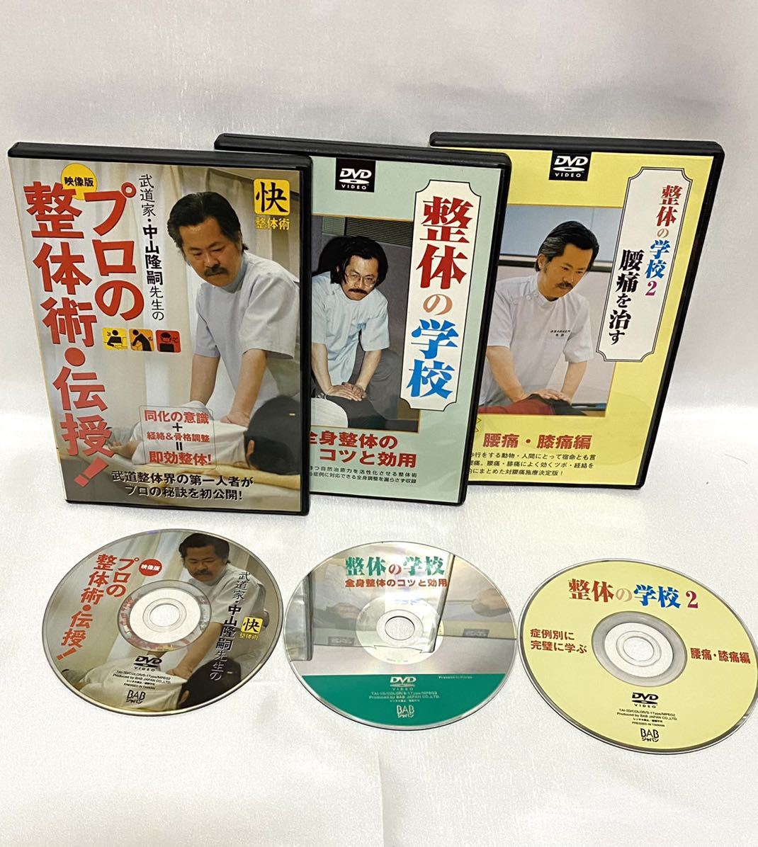 プロ整体師用DVD 快整体術研究所 快整体術 全10巻