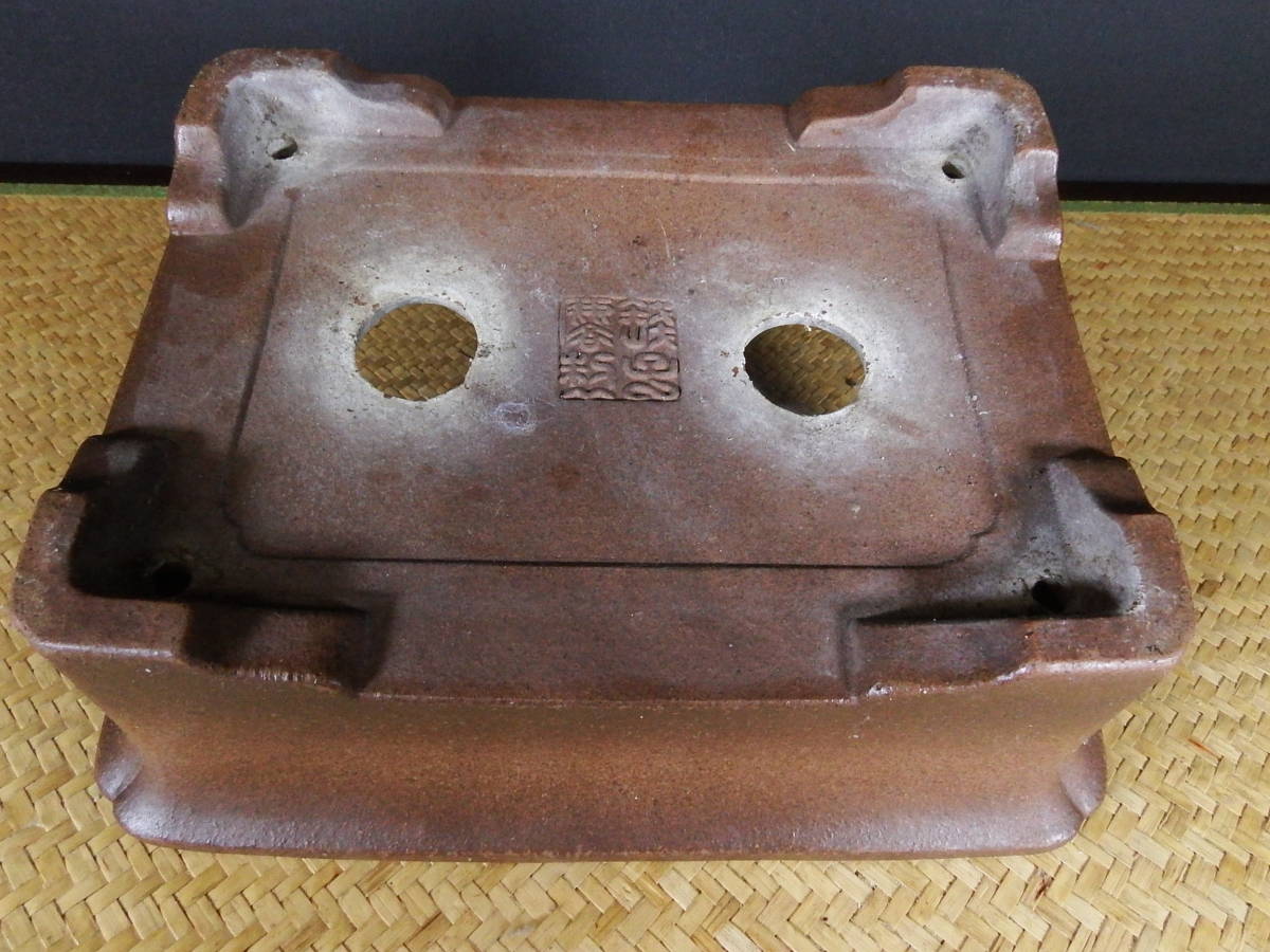 ◇盆栽幸◇銭号ー外縁隅入切足長方鉢◇