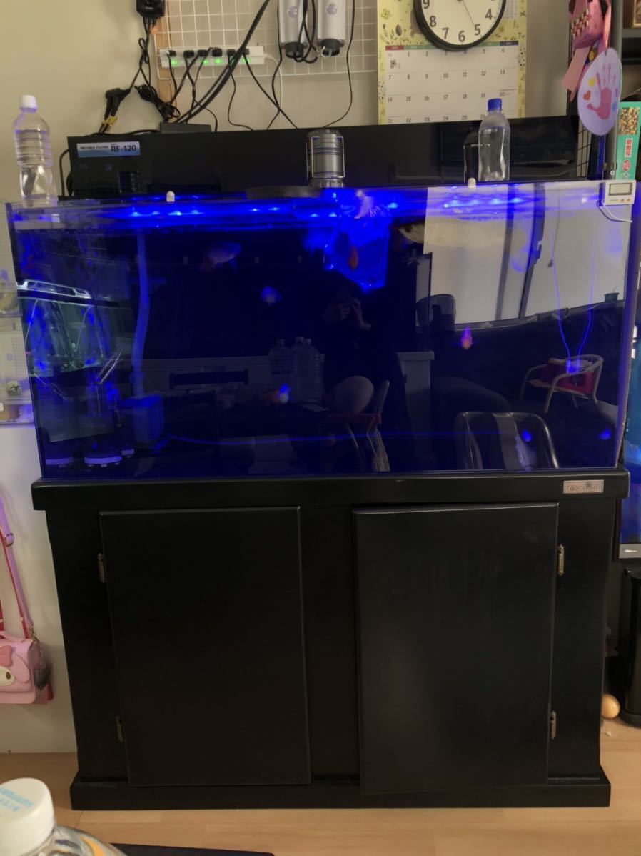 アクリル 水槽 1 60 60 上部濾過 台 ライト セット 引取限定 1cm 売買されたオークション情報 Yahooの商品情報をアーカイブ公開 オークファン Aucfan Com