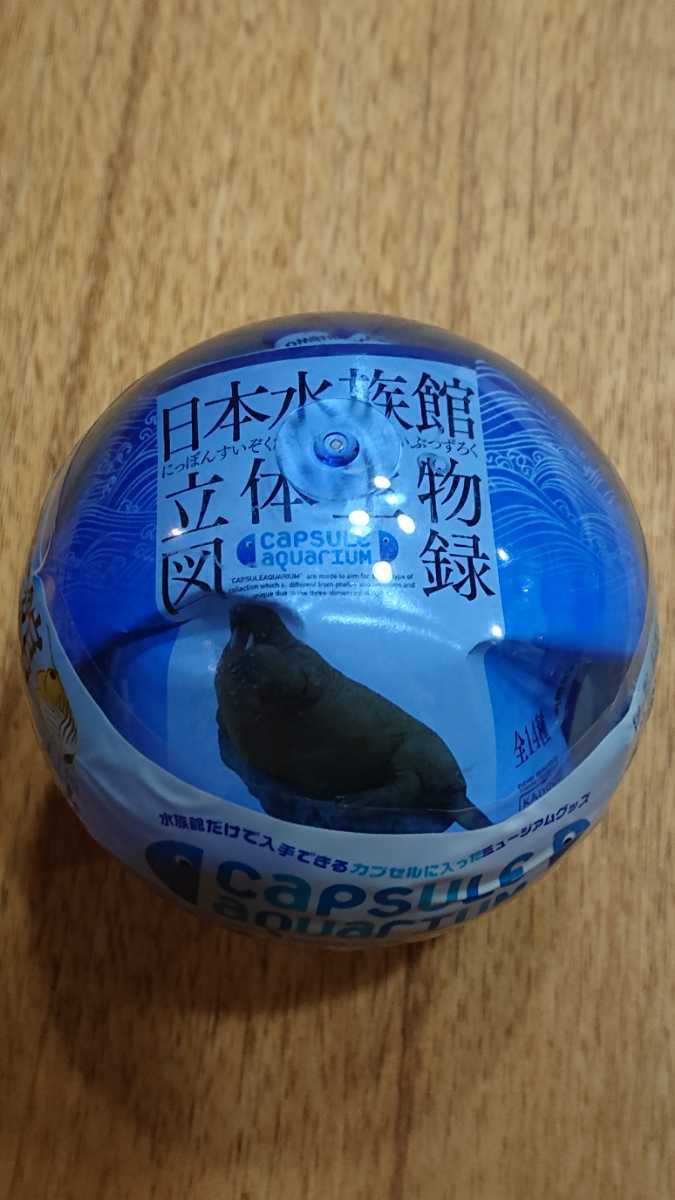 海洋堂 日本水族館立体生物図録第1巻 カプセルアクアリウム１ アクアワールド大洗版 セイウチ カプセル未開封
