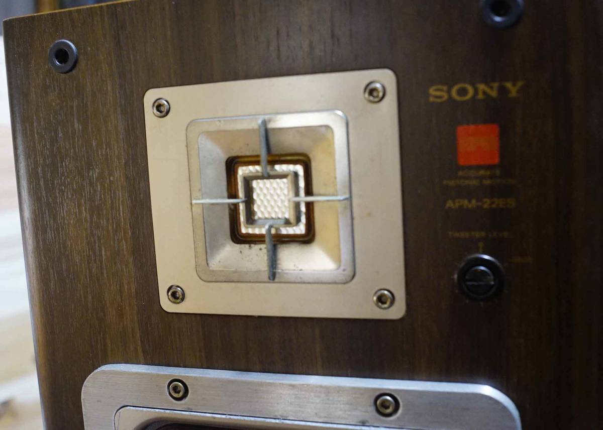 ソニー APM-22ES sony 平板スピーカー エッジ3月交換済み 中古 SONY