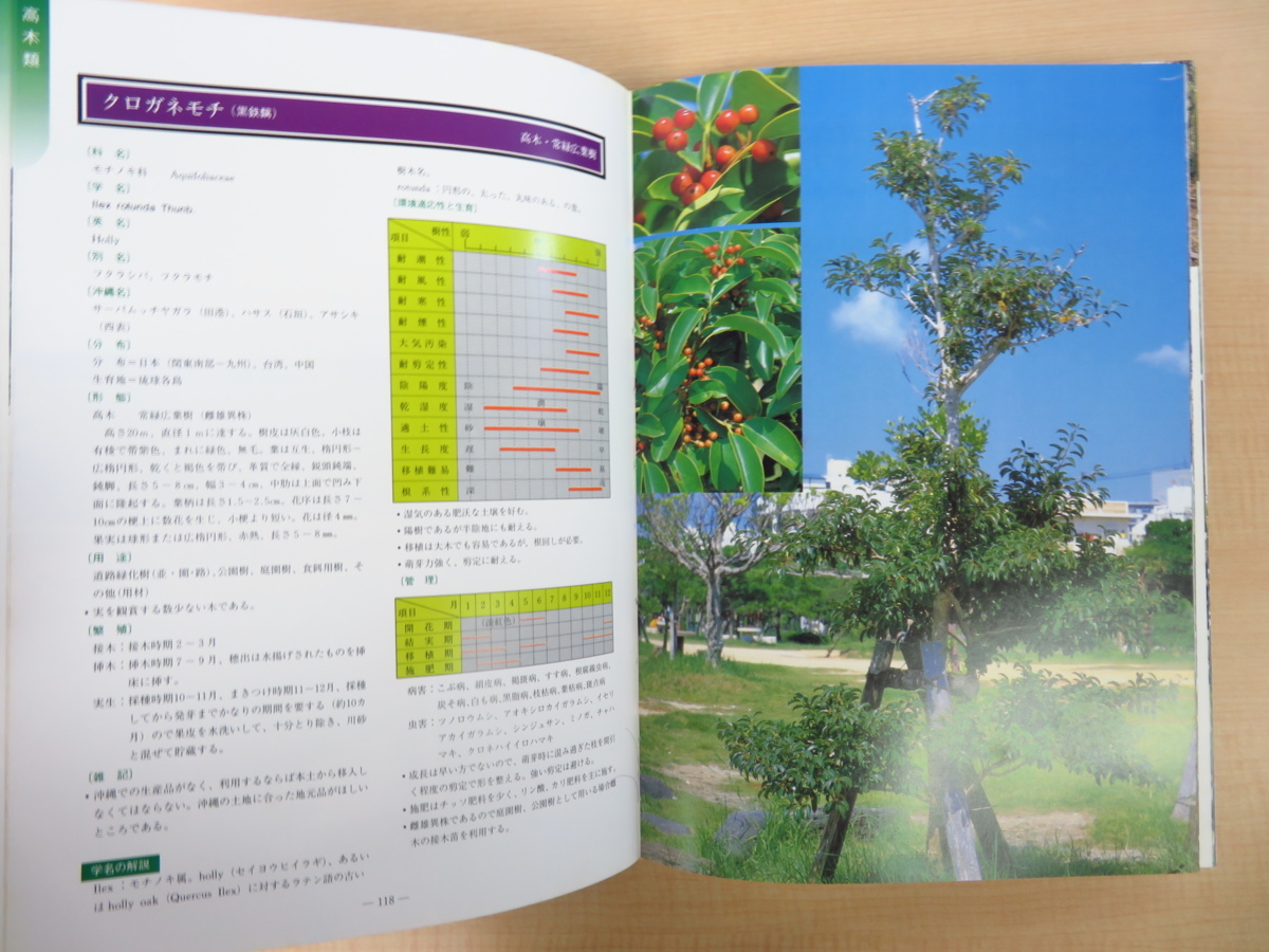 完品 新里孝和監修 平良喜代志著 沖縄の樹木 昭和62年新星図書出版刊 植物図鑑 植物学 画集 売買されたオークション情報 Yahooの商品情報をアーカイブ公開 オークファン Aucfan Com 完品 新里孝和監修 平良喜代志著 沖縄の樹木 昭和62年新星図書出版刊 植物図鑑 植物学 画集 売買されたオークション情報 Yahooの商品情報をアーカイブ公開 オークファン Aucfan Com