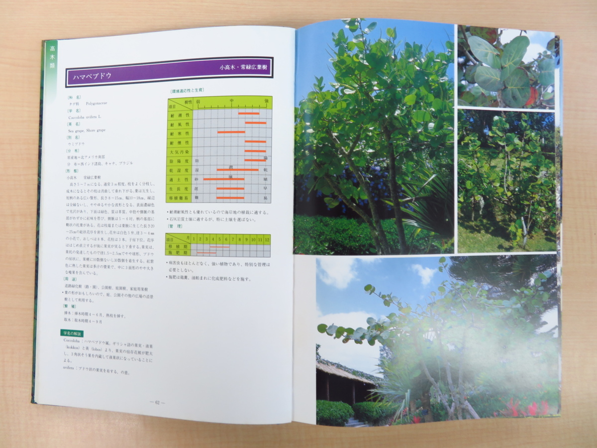 完品 新里孝和監修 平良喜代志著 沖縄の樹木 昭和62年新星図書出版刊 植物図鑑 植物学 画集 売買されたオークション情報 Yahooの商品情報をアーカイブ公開 オークファン Aucfan Com