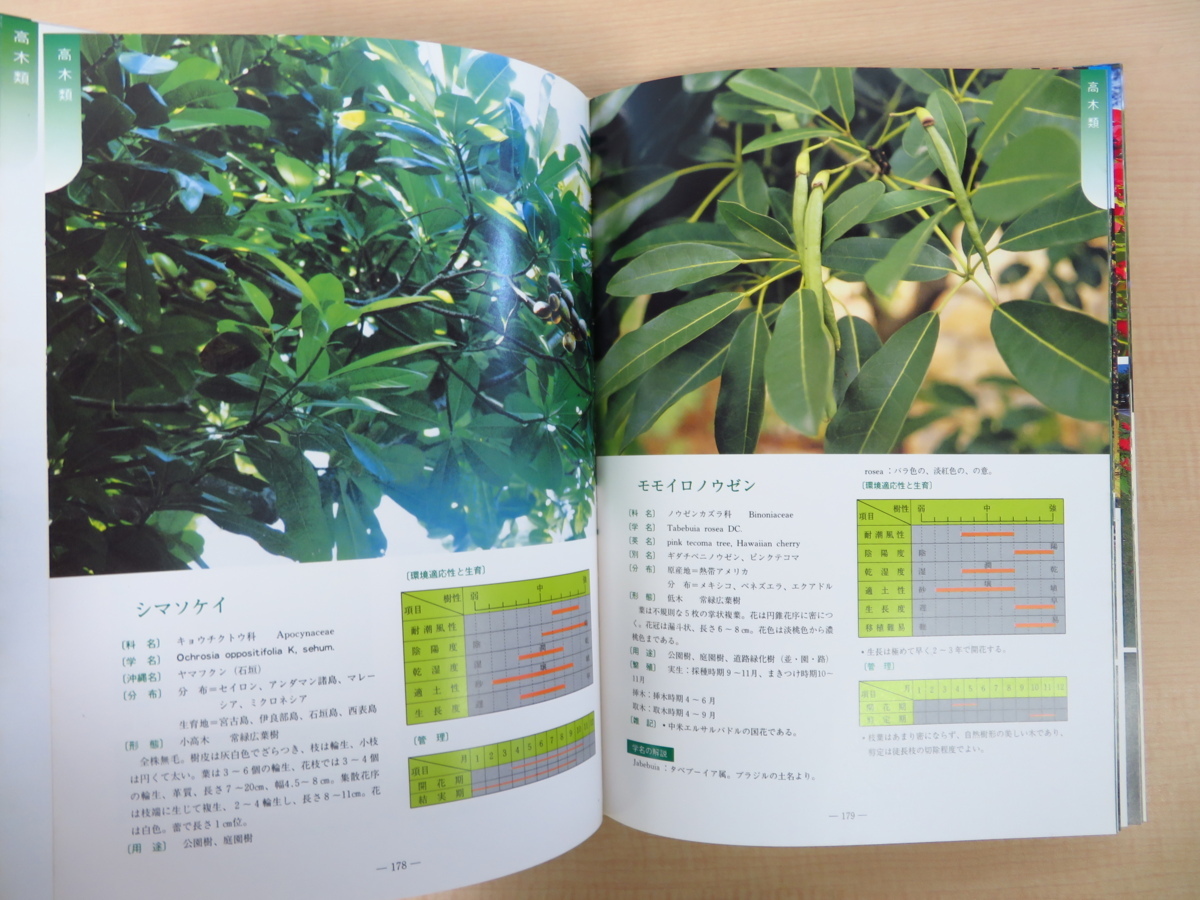 完品 新里孝和監修 平良喜代志著 沖縄の樹木 昭和62年新星図書出版刊 植物図鑑 植物学 画集 売買されたオークション情報 Yahooの商品情報をアーカイブ公開 オークファン Aucfan Com