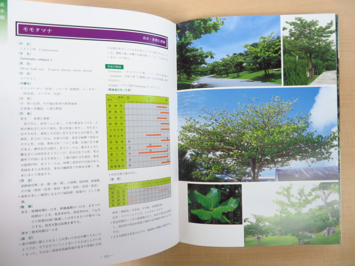 完品 新里孝和監修 平良喜代志著 沖縄の樹木 昭和62年新星図書出版刊 植物図鑑 植物学 画集 売買されたオークション情報 Yahooの商品情報をアーカイブ公開 オークファン Aucfan Com 完品 新里孝和監修 平良喜代志著 沖縄の樹木 昭和62年新星図書出版刊 植物図鑑 植物学 画集 売買されたオークション情報 Yahooの商品情報をアーカイブ公開 オークファン Aucfan Com