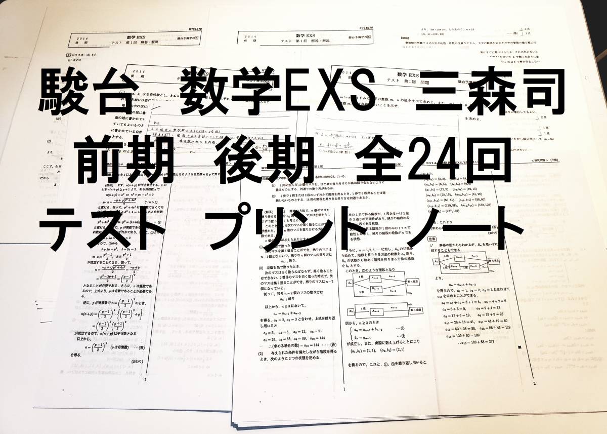 駿台 数学EXS 前期⁄後期 前期 テスト 0 計24回分 1 HY83-021 数学