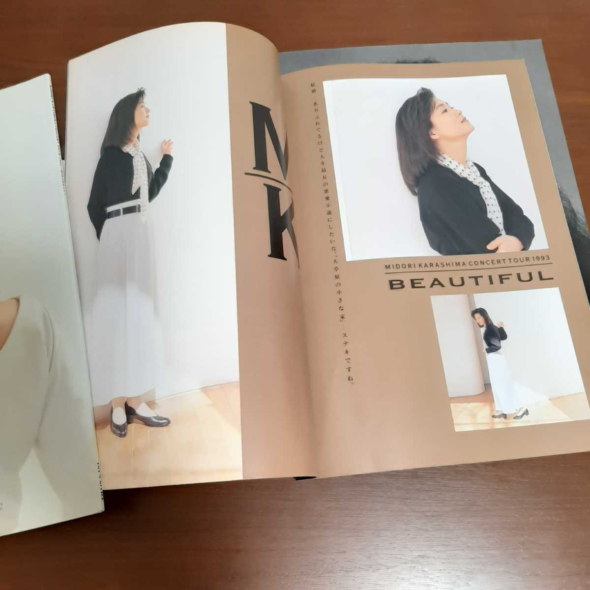 辛島美登里ツアーパンフレット 12K エバーグリーン 1999〜2000 3冊