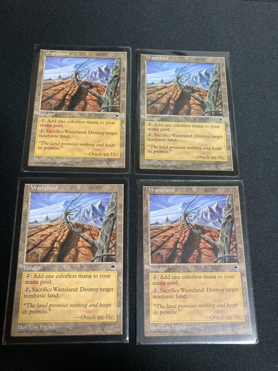 不毛の大地 MTG 4枚セット マジック：ザ・ギャザリング マジック：ザ