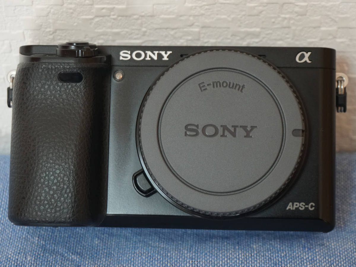 SONY α6000 (ILCE-6000) ボディ ワケあり 【公式通販】