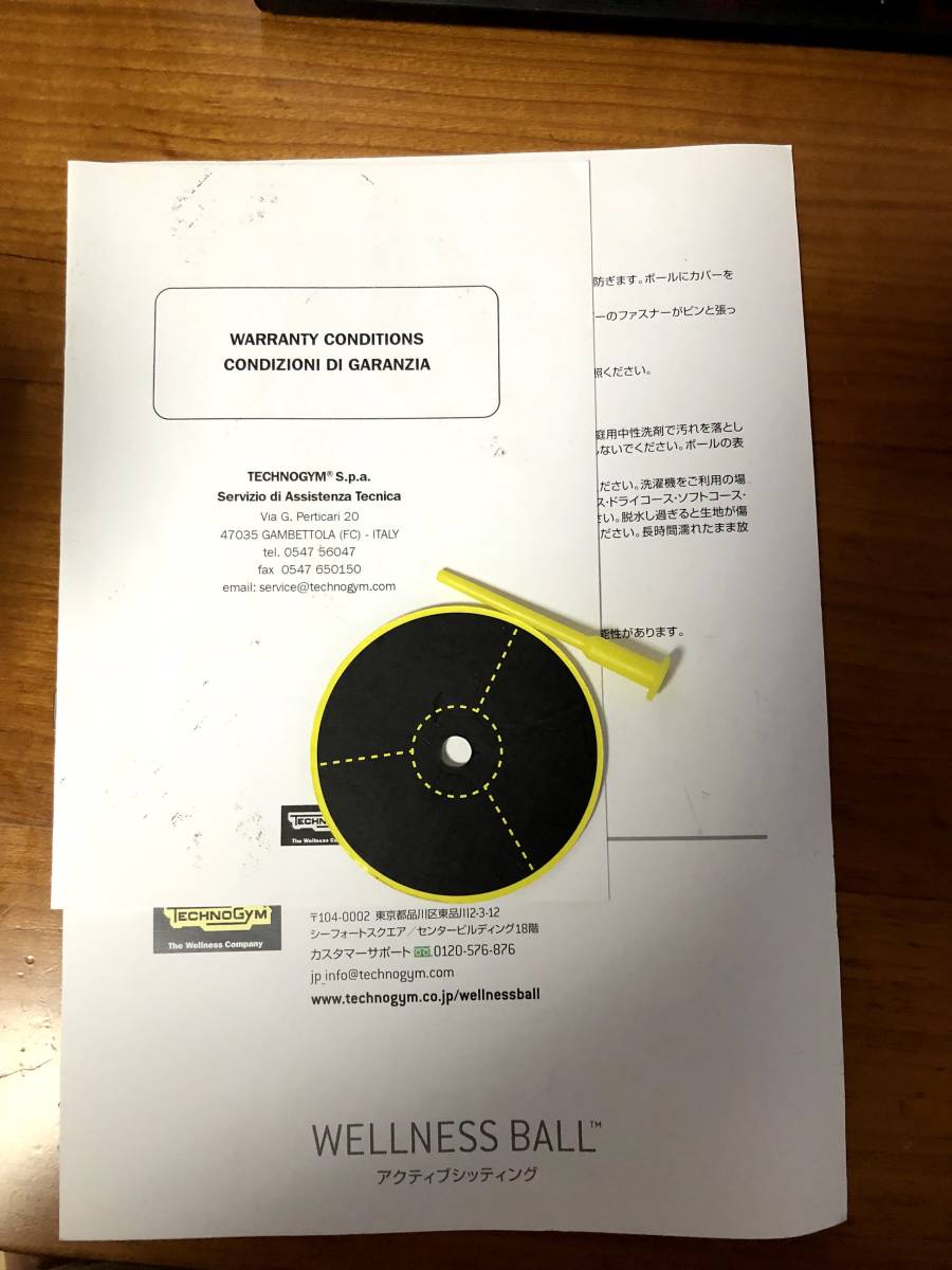 テクノジム バランスボール 55cm WELLNESS BALL Technogym