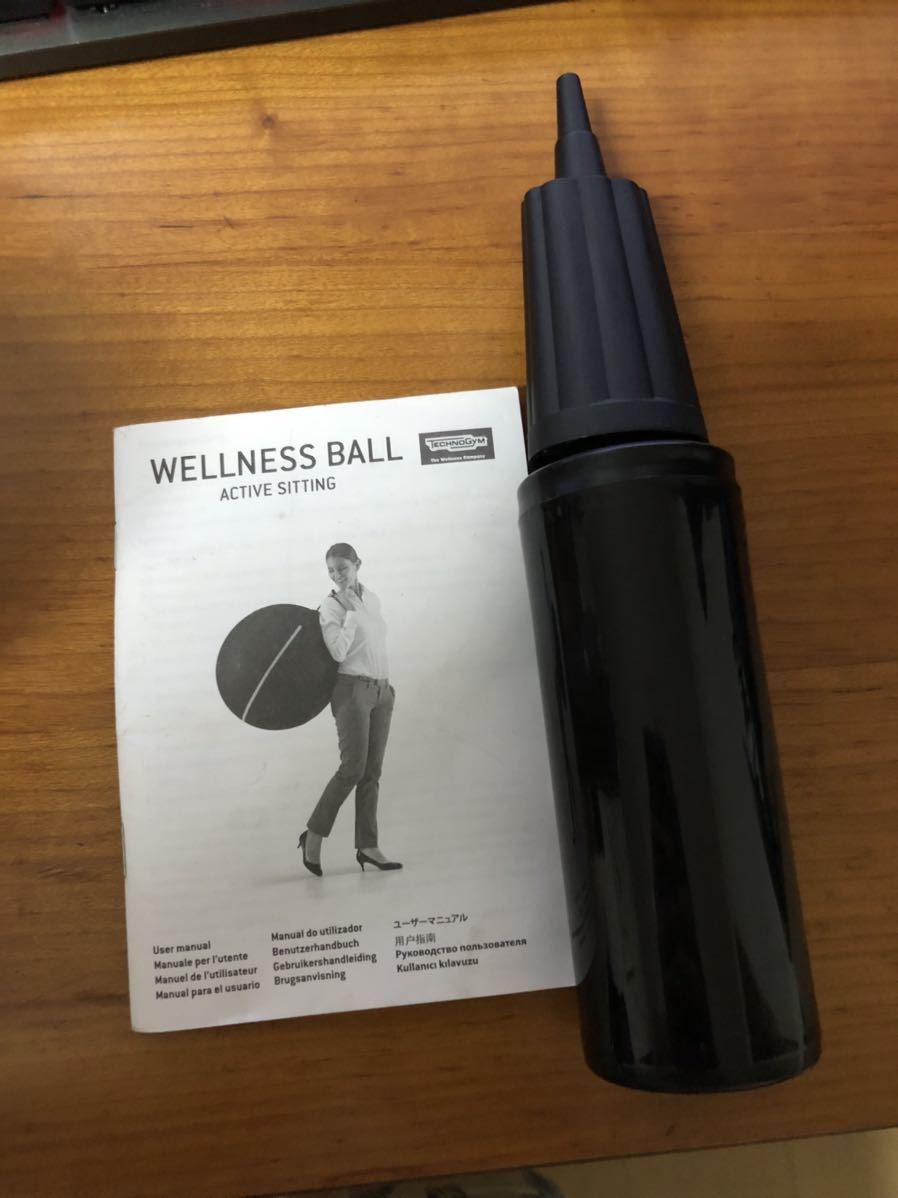 テクノジム バランスボール 55cm WELLNESS BALL Technogym