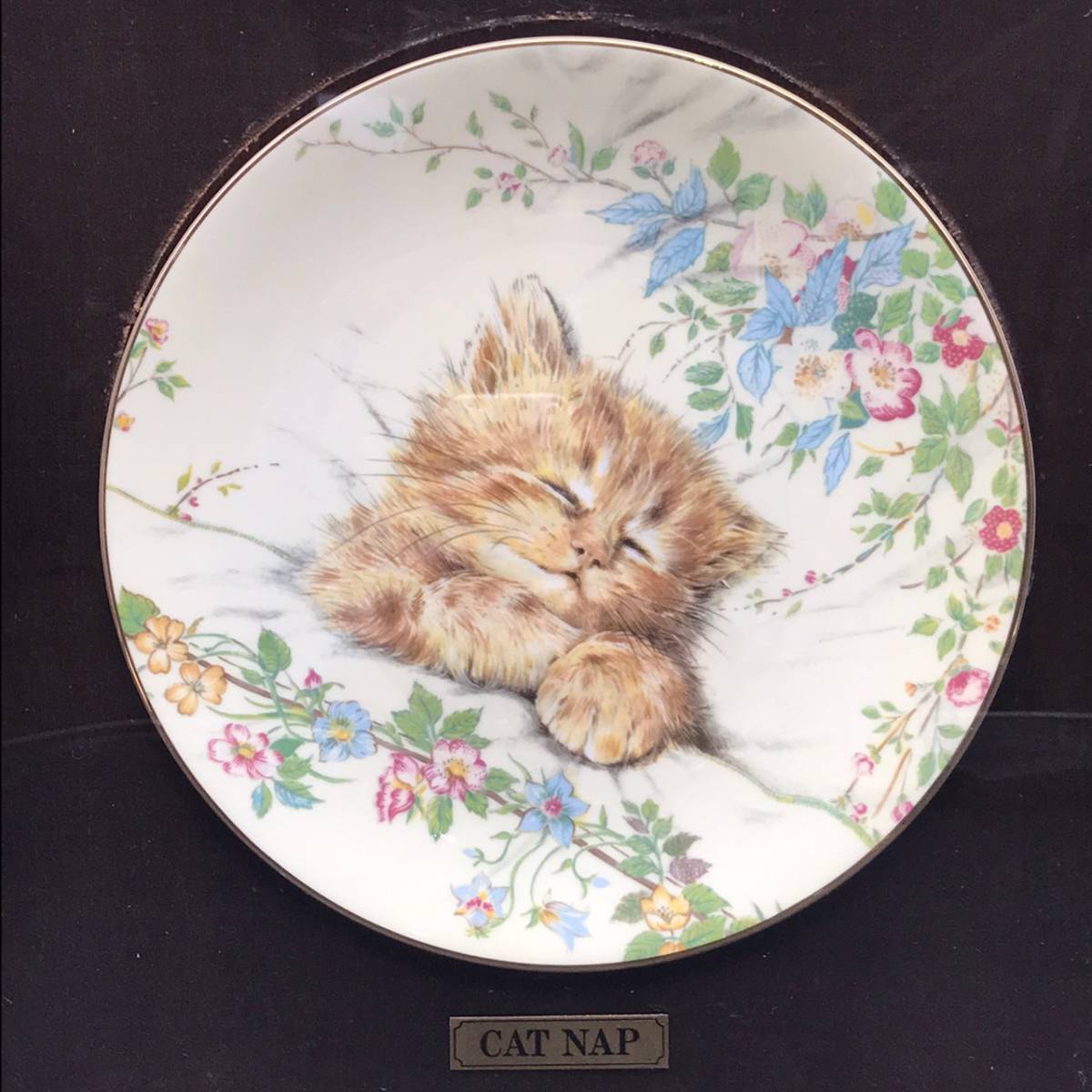 EJ0708-46-22IT Royal Worcester CAT NAP 飾り皿 / ロイヤルウースター