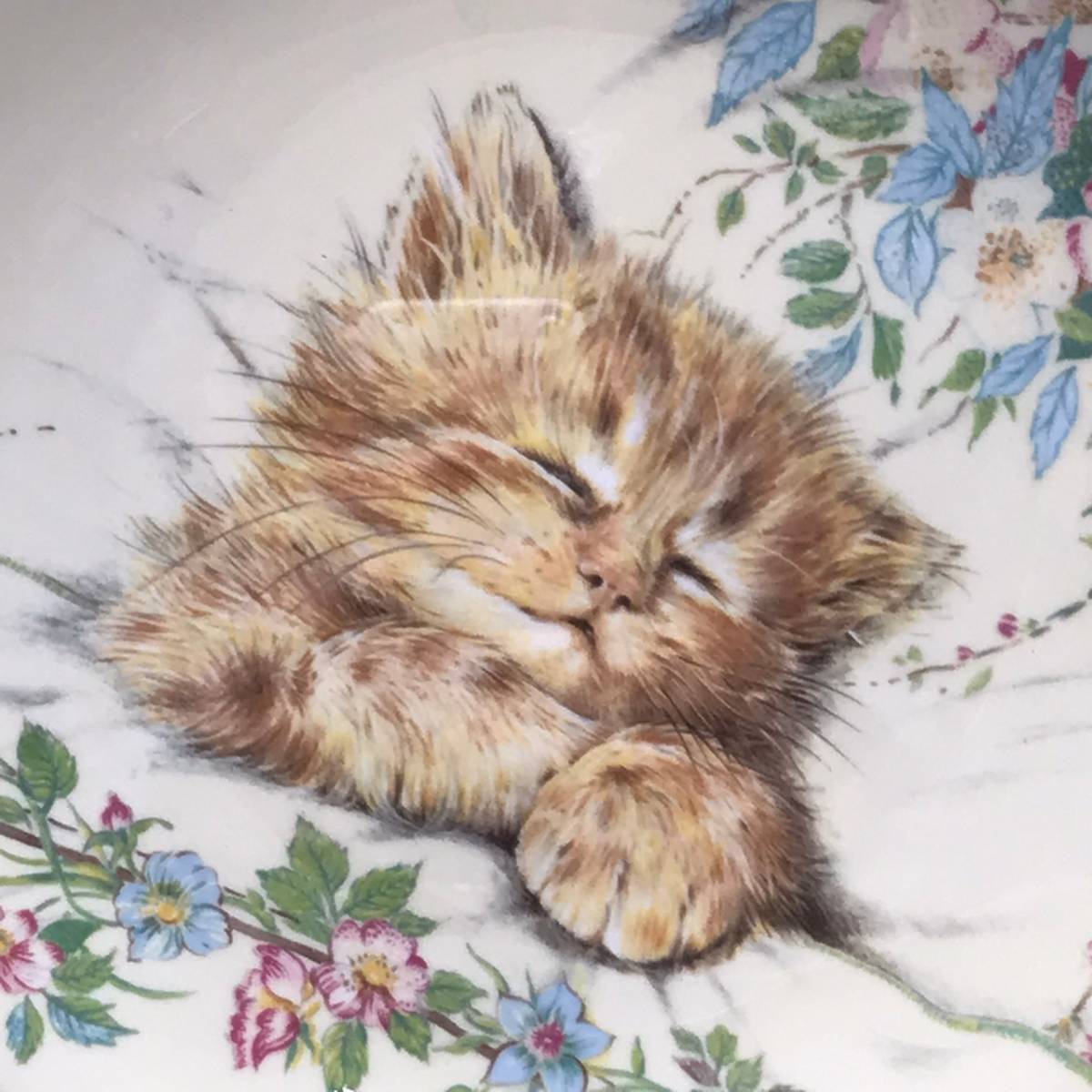 EJ0708-46-22IT Royal Worcester CAT NAP 飾り皿 / ロイヤルウースター