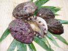 ◆玄界灘産◆高級天然黒あわび500ｇ◆活アワビ◆_1